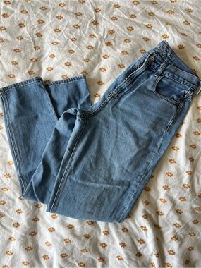 American Eagle Outfitters Light Blue Straight Leg Jeans